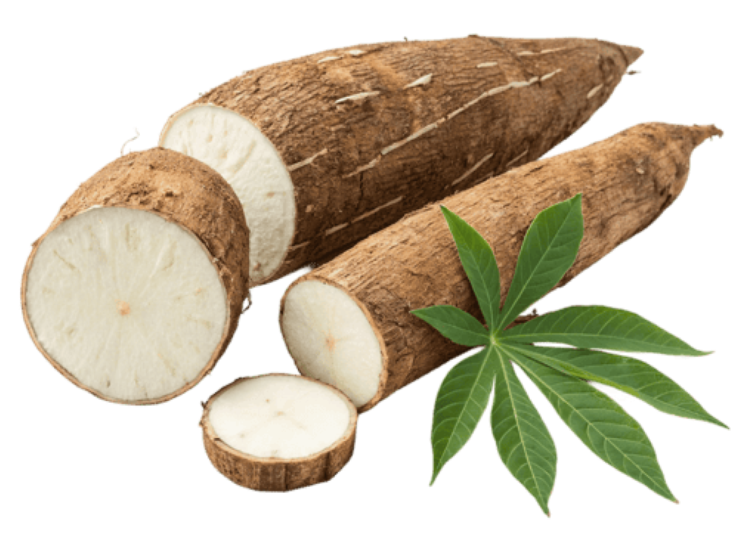 FRESH CASSAVA